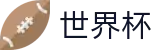2026美加墨世界杯官方热门买球站_世界杯官网买球入口网页版